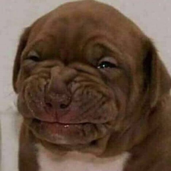 Apt. 9 Black and White Blouse - Picture 4 of 5